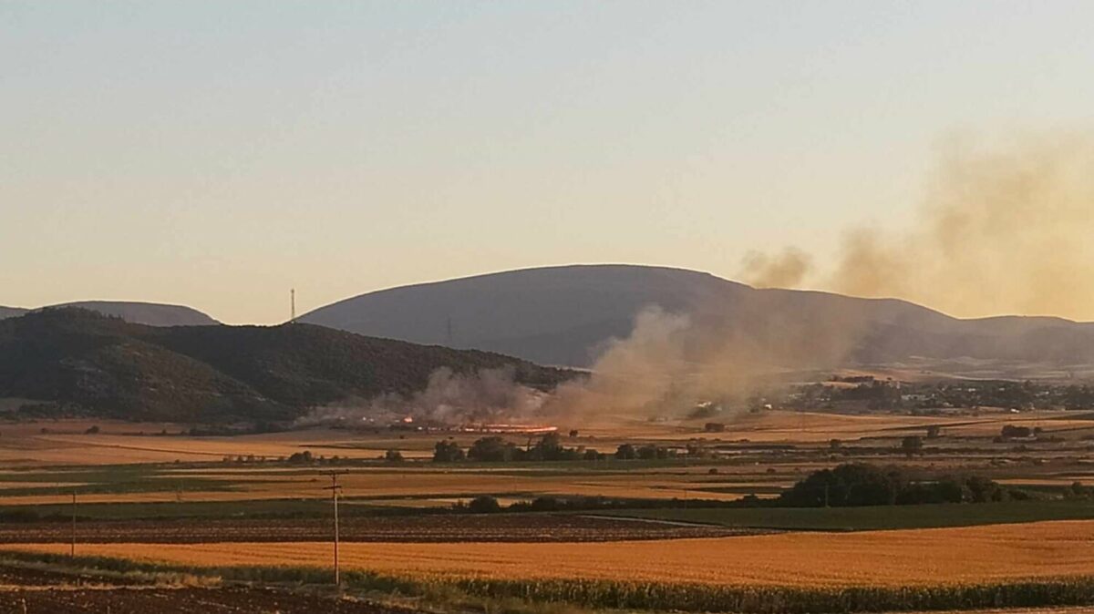 Υπο έλεγχο νέα φωτιά στην Αμπελιά Φαρσάλων - Επι τόπου και ο Δ. Κουρέτας