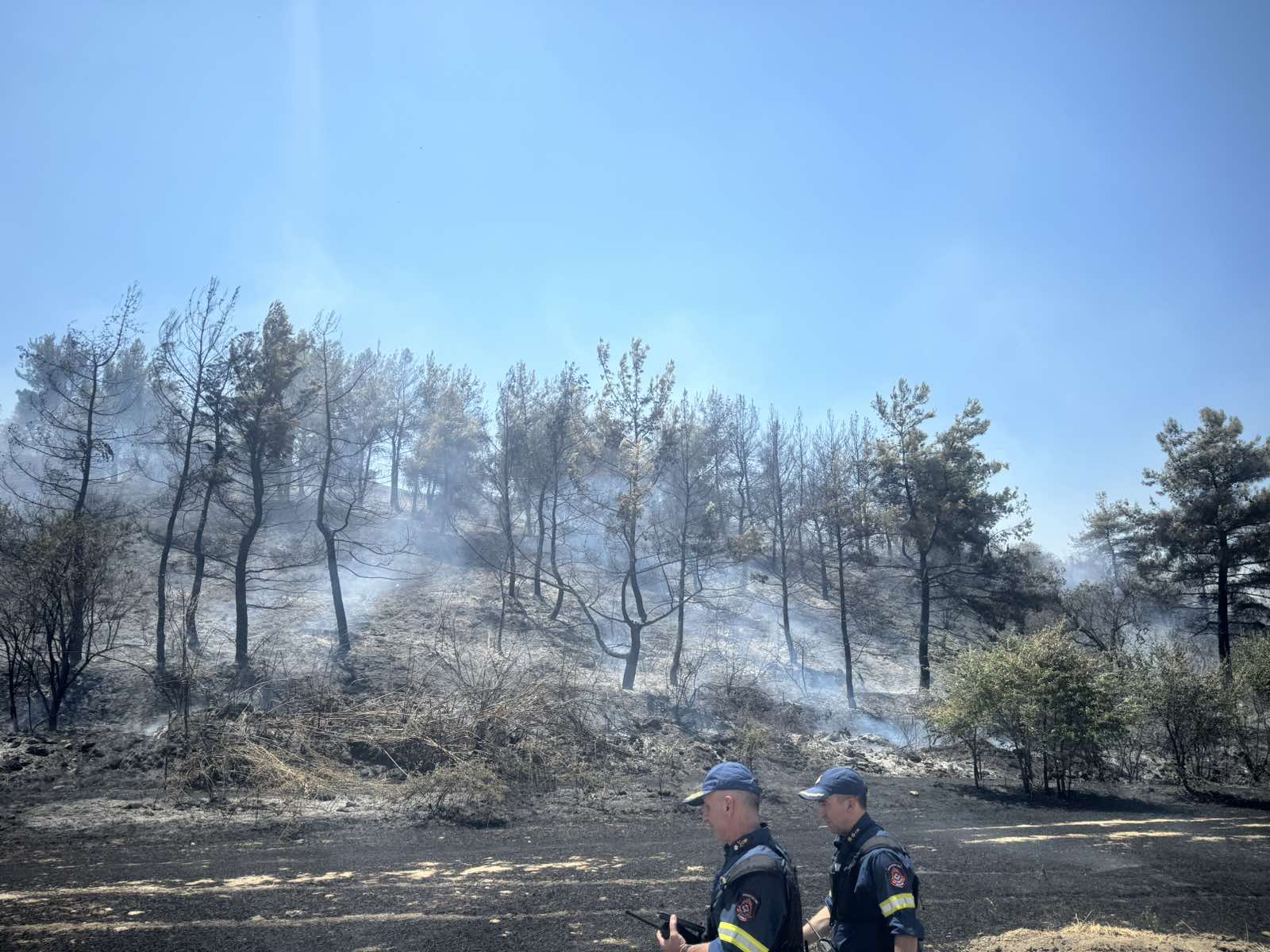 Επίγεια και ενάερια μέσα έθεσαν υπό έλεγχο την φωτιά στην Βρύση Τυρνάβου