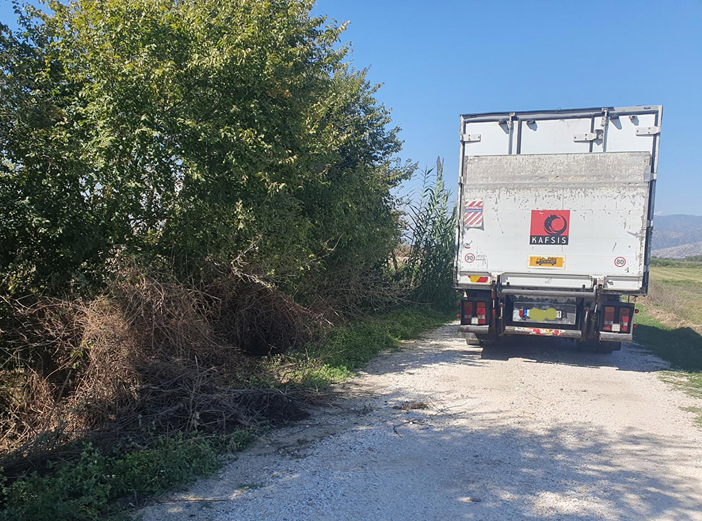 Πέταξαν νεκρά πρόβατα σε χαντάκι στην περιοχή του Αμπελώνα