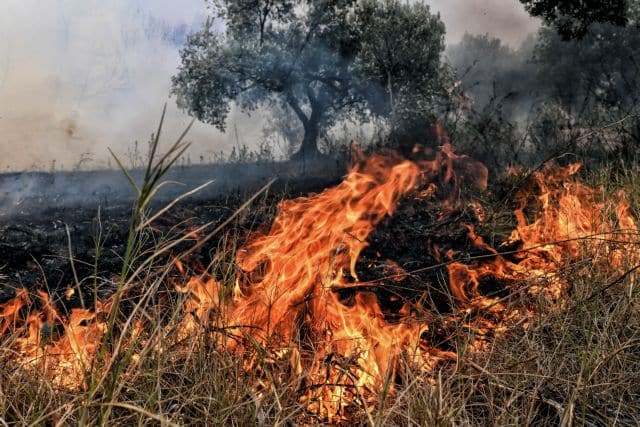 Πρόστιμο 1.900 ευρώ για καύση ξερών χόρτων στη Γαλήνη του Δήμου Κιλελέρ