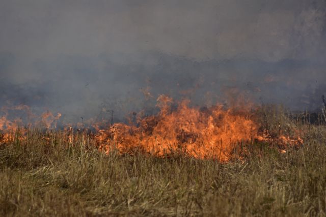 Yπό μερικό έλεγχο η φωτιά στο δρόμο Γιάννουλης - Αμπελώνα