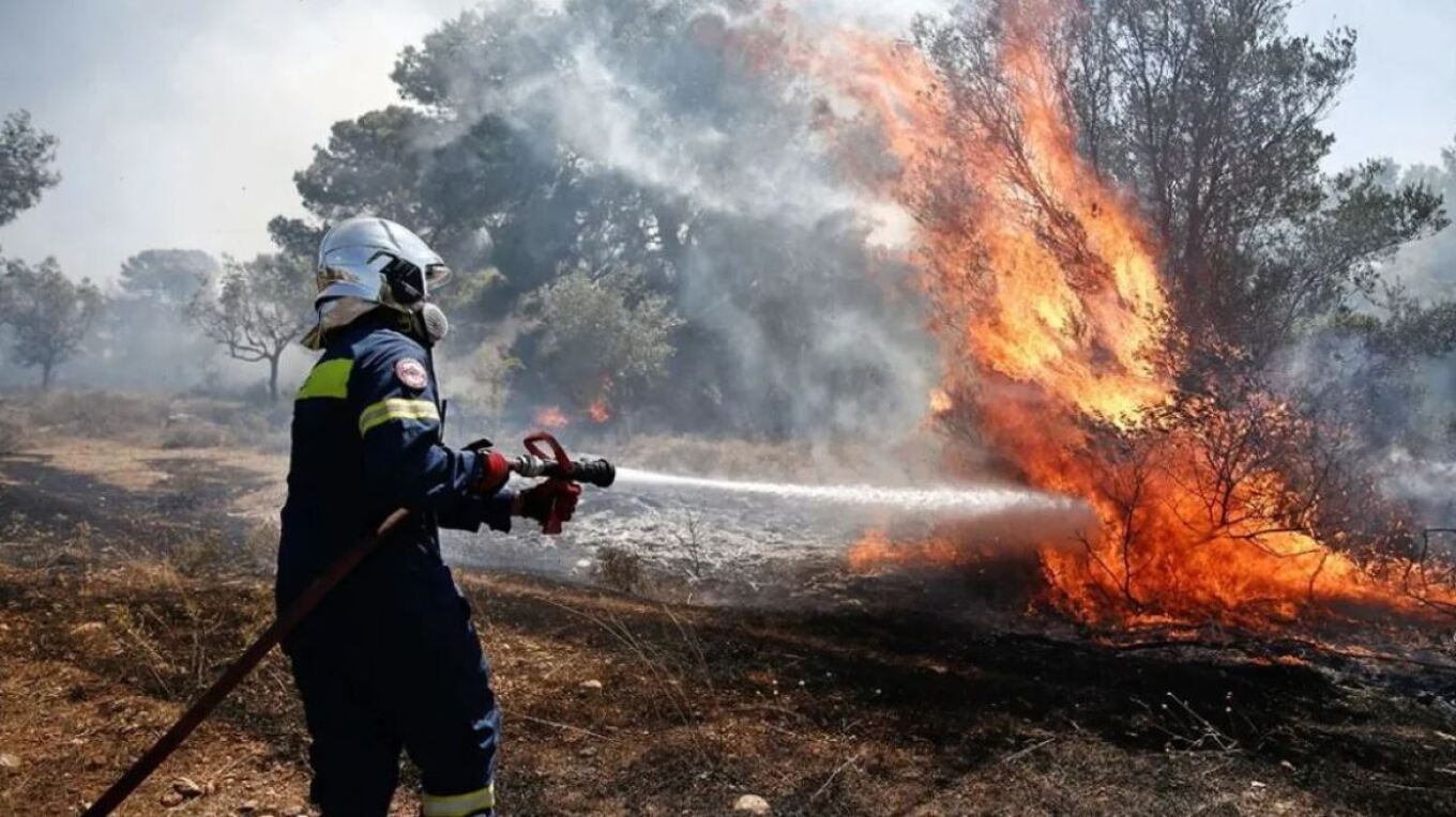 Υπό μερικό έλεγχο η πυρκαγιά σε δασική έκταση στην Αμυγδαλιά Λάρισας