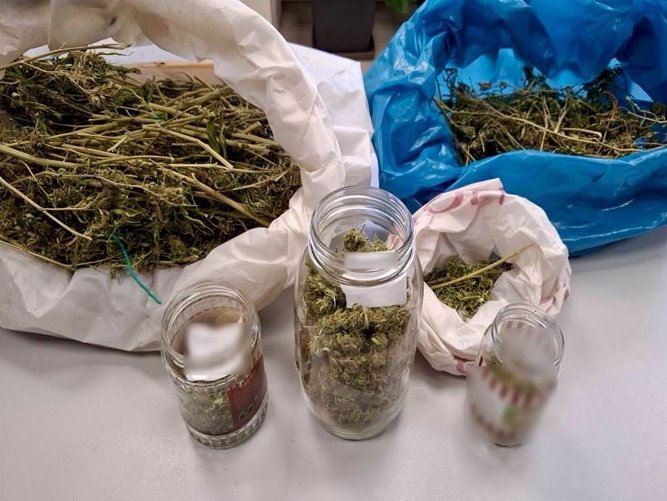 Χειροπέδες σε Λαρισαία για διακίνηση κάνναβης - Τι εντοπίστηκε στο σπίτι της 