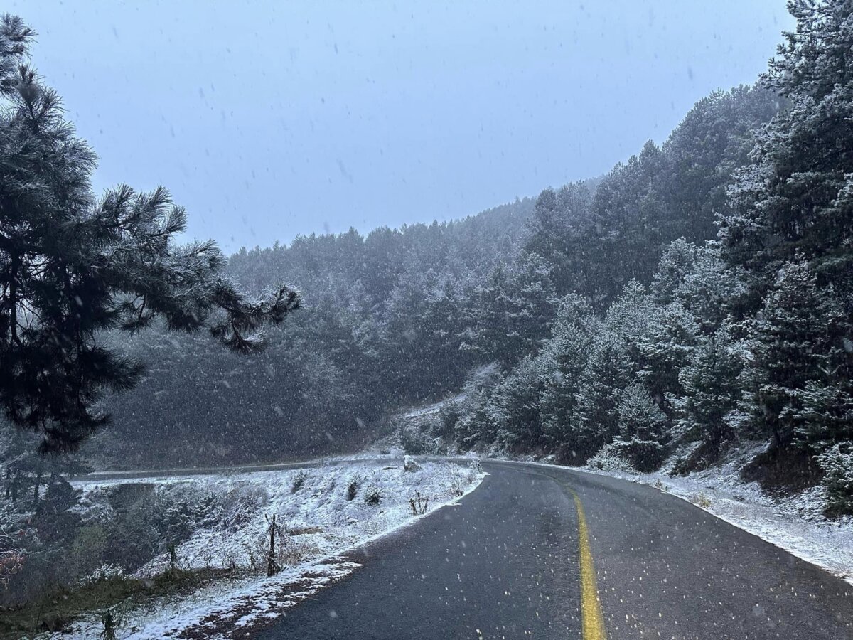 Tα πρώτα χιόνια στα ορεινά της Ελασσόνας (φωτο)