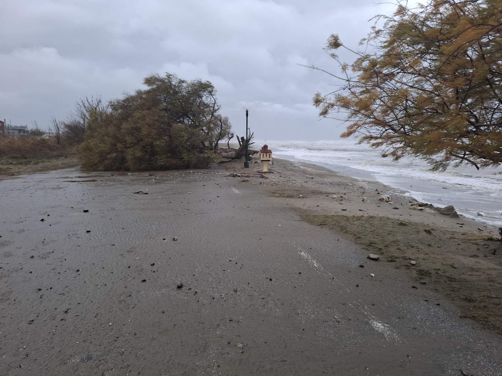 H κακοκαιρία έπληξε τα παράλια της Λάρισας - Ισχυροί άνεμοι και πτώσεις δέντρων (φωτο)