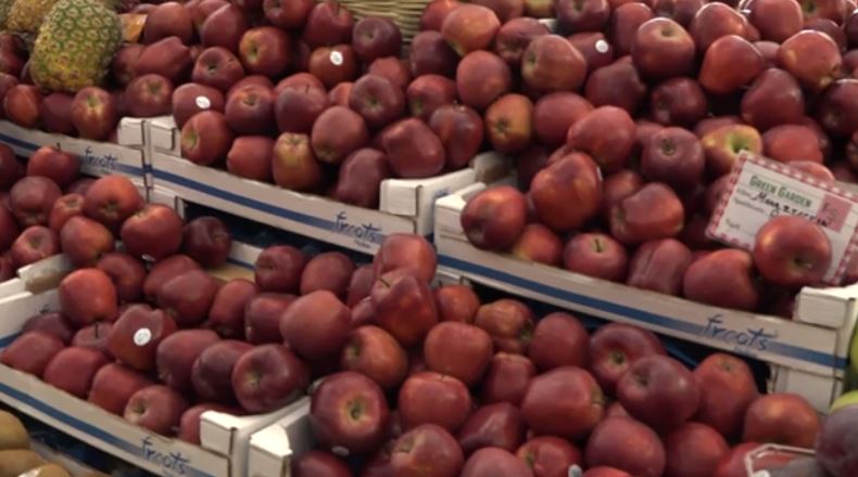 Αγιά: Μειωμένη η παραγωγή μήλων λόγω Daniel – Στα ψυγεία παραμένουν όσα σώθηκαν