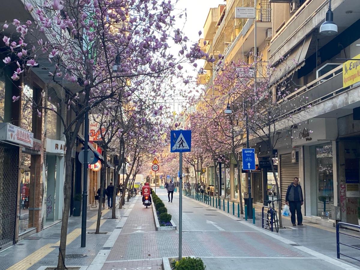 Δήμος Λαρισαίων: Νέα εφαρμογή για την αυθαίρετη κατάληψη κοινοχρήστων χώρων