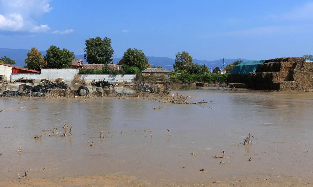 Λέκκας: "Φόβοι για νέες πλημμύρες στη Θεσσαλία – Χρειάζεται σχέδιο"