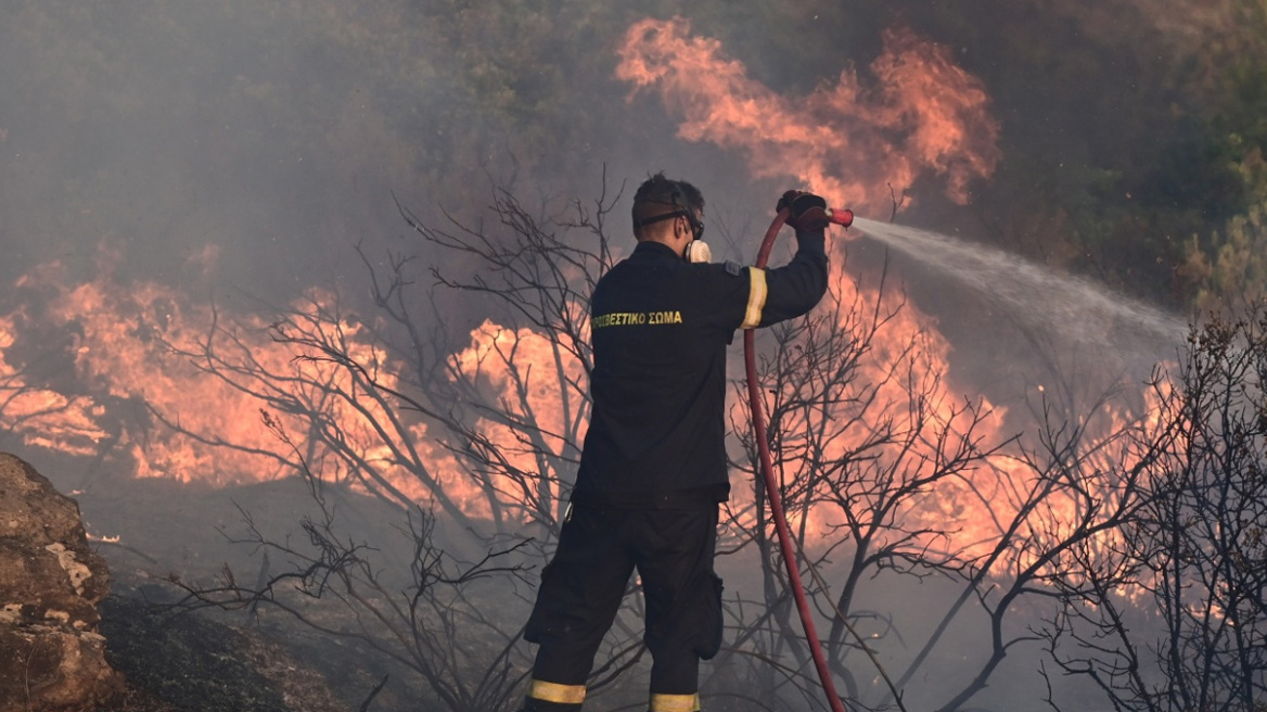 Yπό έλεγχο φωτιές σε Όσσα και Ελασσόνα 