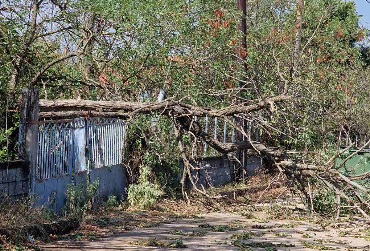 Από σήμερα μέχρι και τις 4 Οκτωβρίου οι αιτήσεις για τους πληγέντες από την πρόσφατη κακοκαιρία στα Βρυσιά