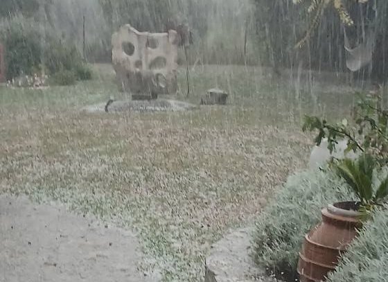 Eντονη χαλαζόπτωση στην περιοχή της Ελασσόνας - Ζημιές σε καλλιέργειες 