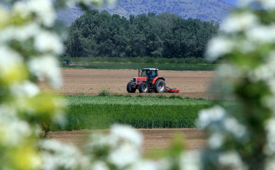 ΔΑΟ ΠΕ Λάρισας: Ενημέρωση για την ορθή υλοποίηση των επενδύσεων των Σχεδίων Βελτίωσης