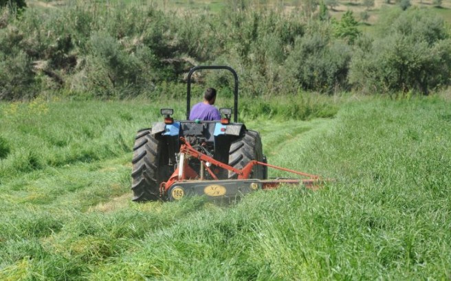 Μπαίνουν σε εφαρμογή οι δράσεις κατάρτισης για νέους γεωργούς