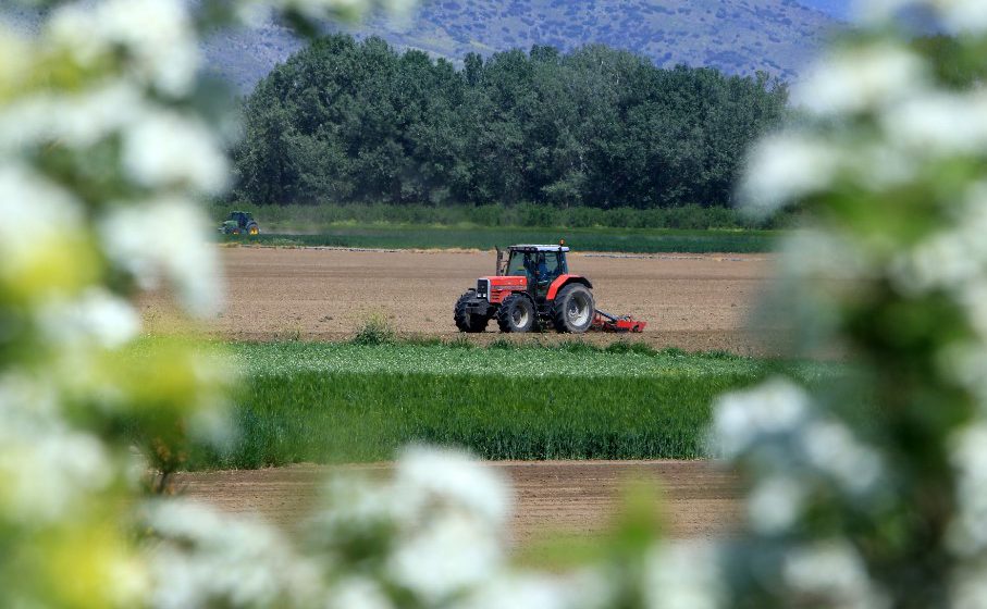 ΕΛΓΑ: Από την Παρασκευή προκαταβολές 110 εκατ.€ σε 33.088 γεωργούς της Θεσσαλίας