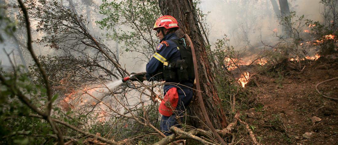 Μεγάλη πυρκαγιά στα Φάρσαλα - Σε εξέλιξη επιχείριση της Πυροσβεστικής 