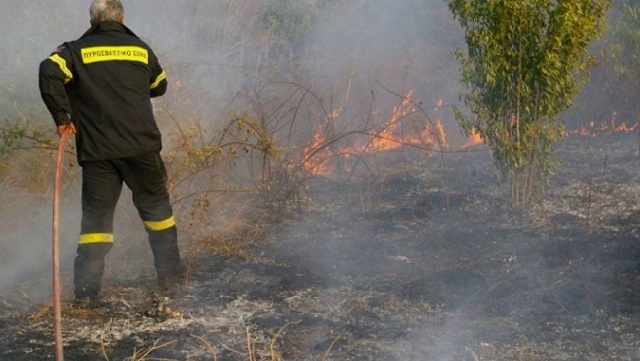 Φωτιά στη Χάλκη, κινητοποίηση της Πυροσβεστικής 