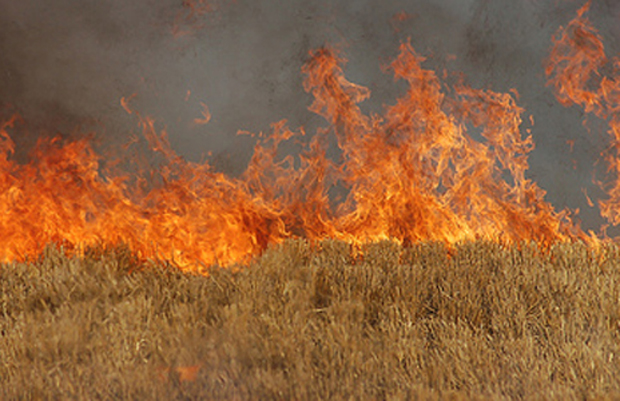 Αυξημένος ο κίνδυνος εκδήλωσης πυρκαγιών στη Θεσσαλία