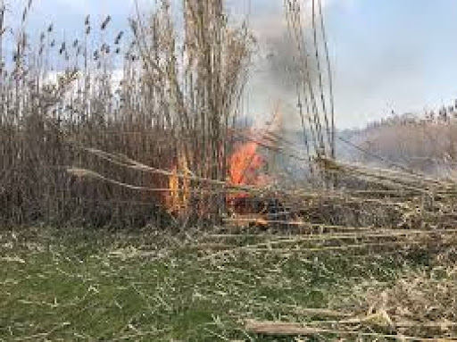 Φωτιά σε ξερά χόρτα στον περιφερειακό Λάρισας – Τρικάλων