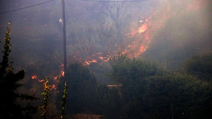 Πυρκαγιά σε δασική έκταση στην Αμυγδαλιά Λάρισας