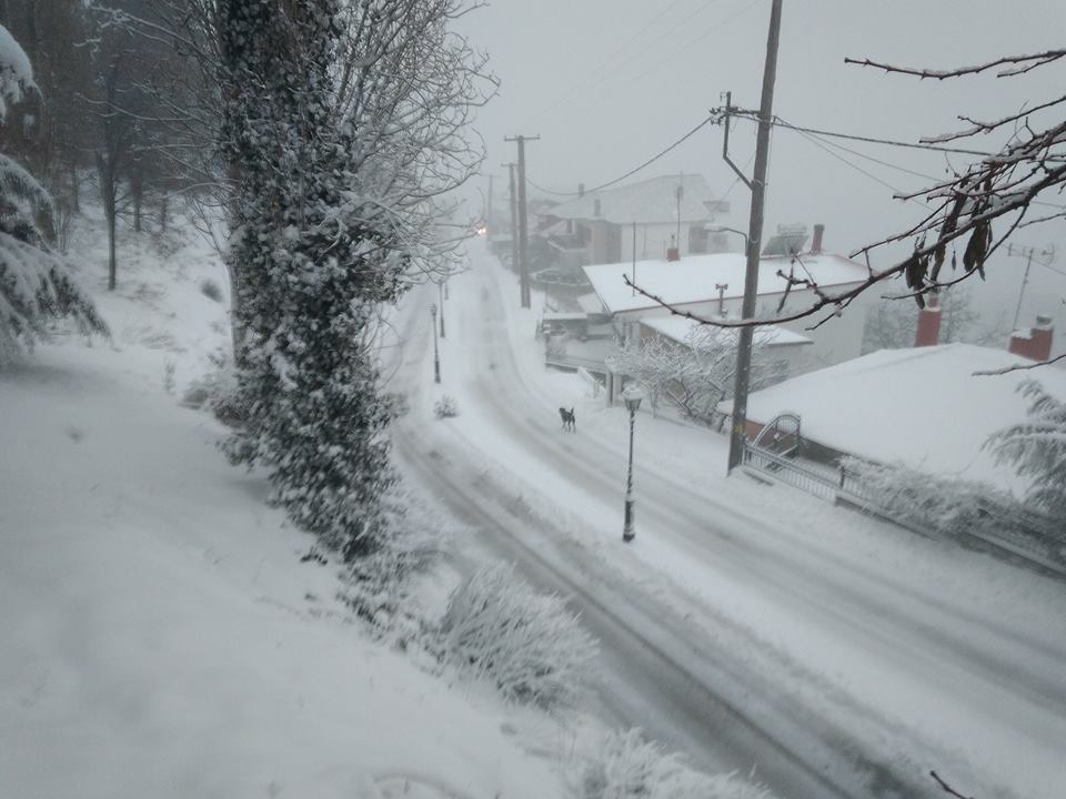 Nέο κύμα κακοκαιρίας με χιονοπτώσεις στα ορεινά της Θεσσαλίας 