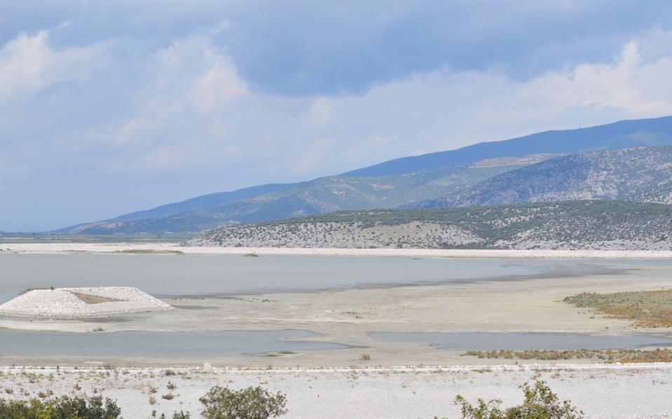 Ελληνική Ορνιθολογική Εταιρεία: "Η Λίμνη Κάρλα μετατρέπεται σε εκατόμβη νεκρών πουλιών"