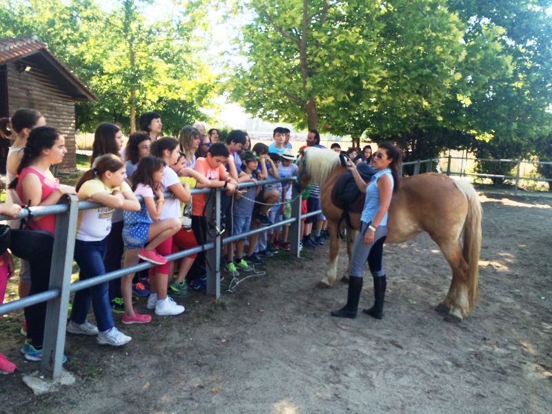 Επίσκεψη μαθητών στις ιππικές εγκαταστάσεις της Λάρισας (ΕΙΚΟΝΕΣ)
