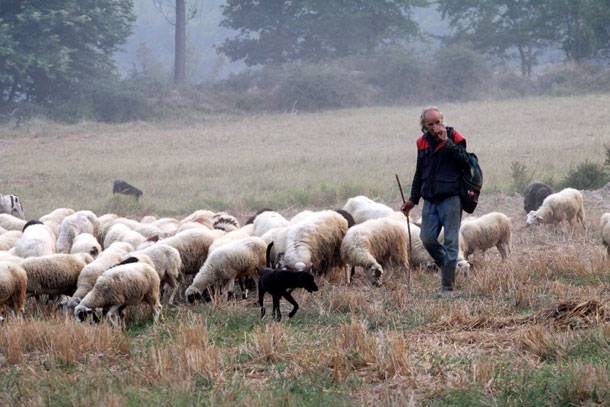 Οι κτηνοτρόφοι της Θεσσαλίας στον Υπουργό Αγροτικής Ανάπτυξης