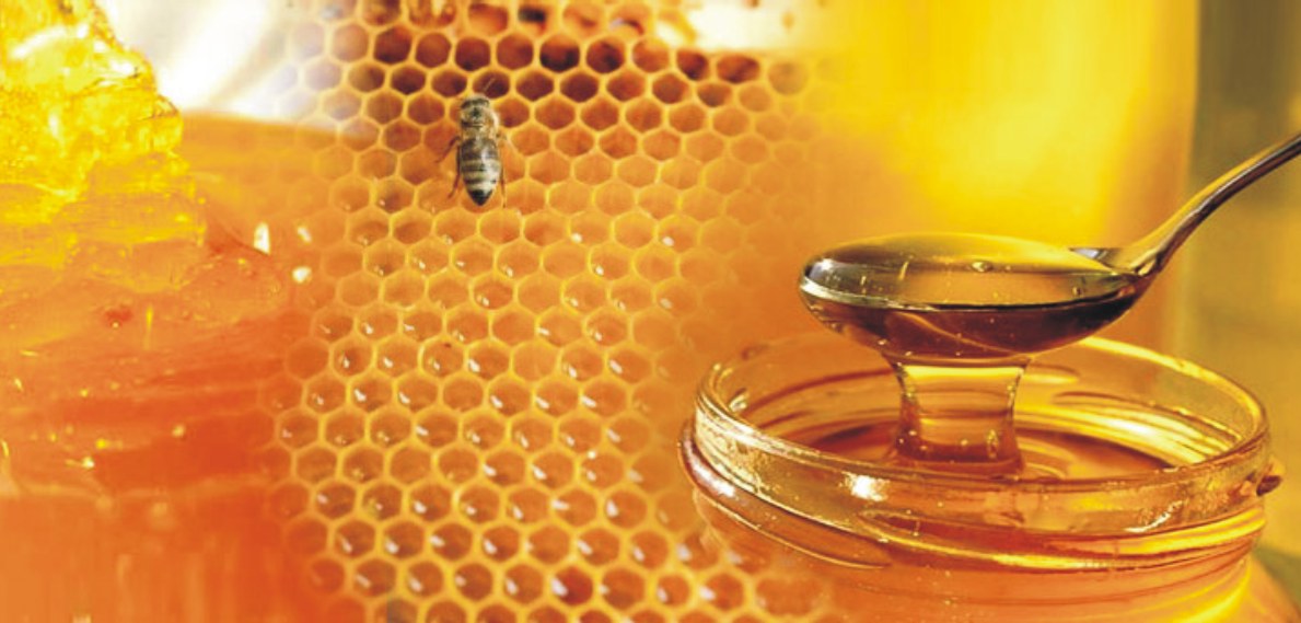 Προσφέρουν μέλι