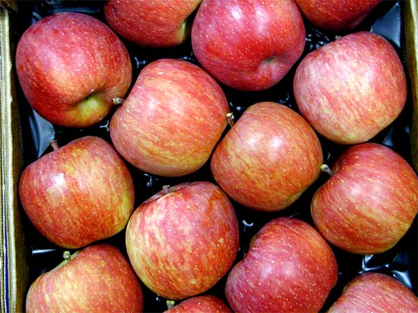 Σύσκεψη μηλοπαραγωγών