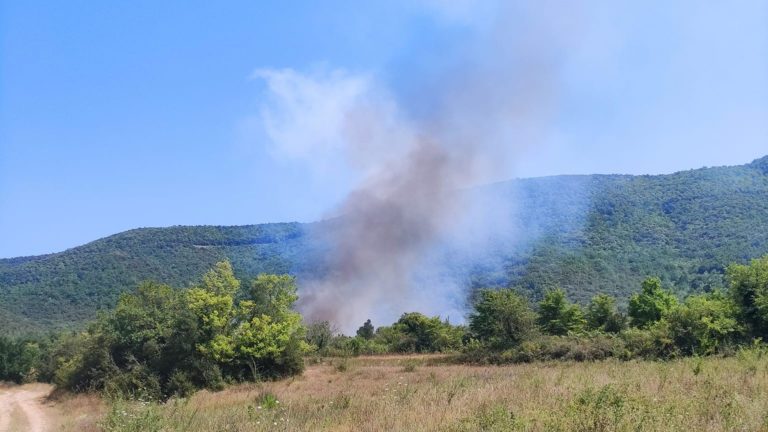 Πυρκαγιά σε αγροτοδασική έκταση στην Κοκκινόγη Ελασσόνας
