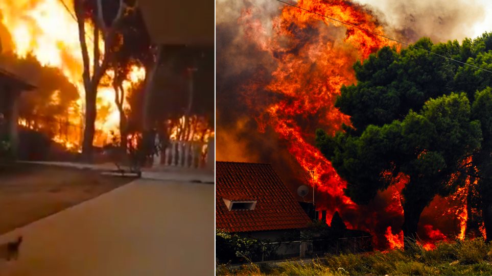 Συγκλονιστικό βίντεο από τη φωτιά στο Μάτι 