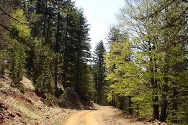 Απαγόρευση κυκλοφορίας σε δάση και περιοχές ειδικής προστασίας της ΠΕ Λάρισας 