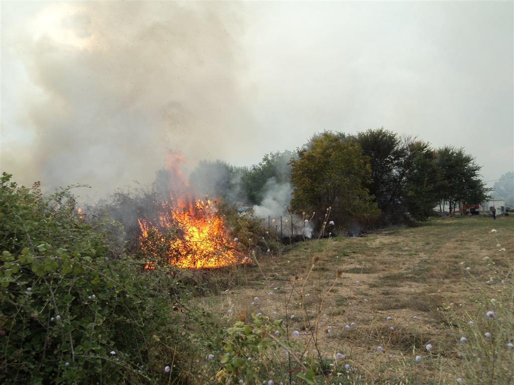 S.O.S. από την Πυροσβεστική της Λάρισας