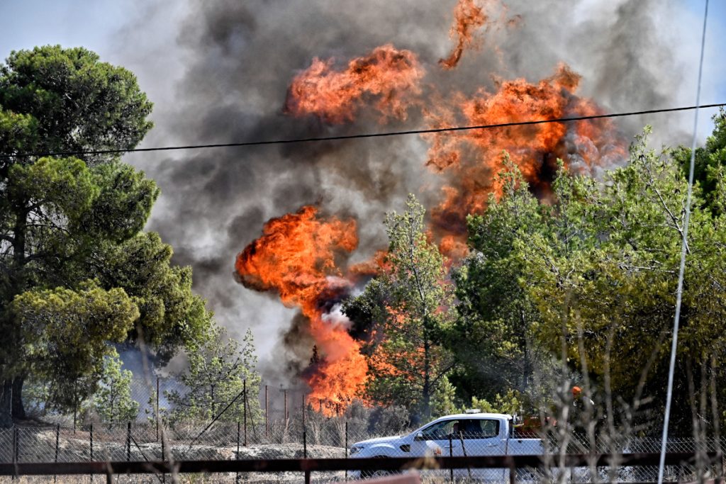 Πυρκαγιές: Δυσάρεστη πρωτιά για τη Θεσσαλία - 4 φωτιές την ημέρα στη Λάρισα 