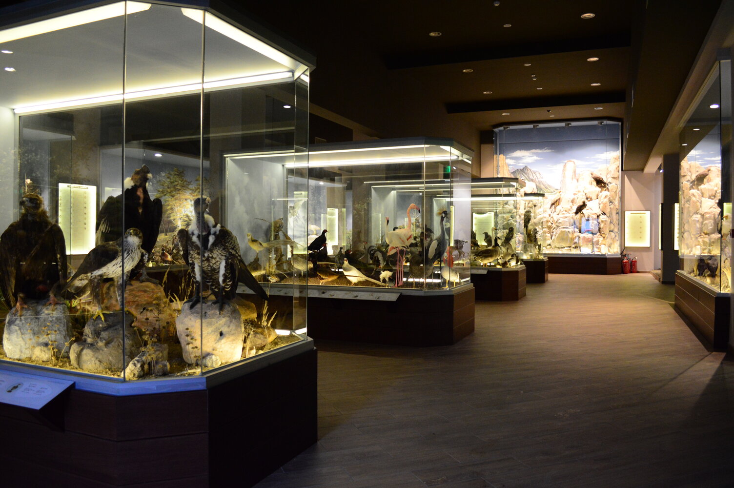 Η ΚΛΙΑΦΑ χορηγεί 1.500 επισκέψεις μαθητών στο Μουσείο Φυσικής Ιστορίας Μετεώρων