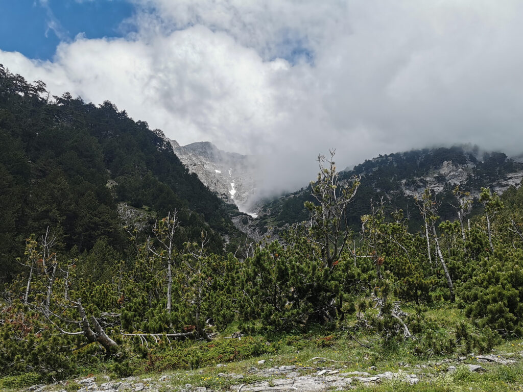 Όλυμπος: Σώος εντοπίστηκε ο ορειβάτης στην Καρυά Ελασσόνας 
