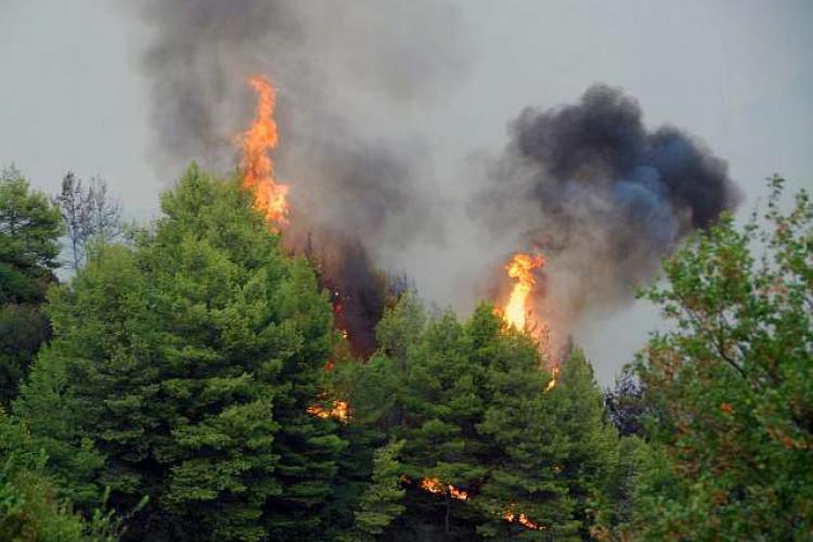 Λιγότερες οι δασικές πυρκαγιές φέτος στη Λάρισα