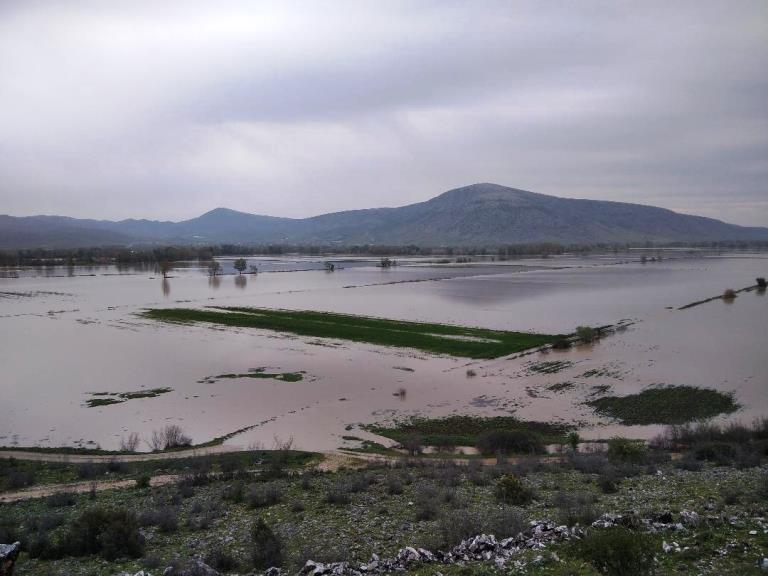 30.000 στρέμματα με καλλιέργειες πλημμύρισαν στο Ζάρκο Tρικάλων