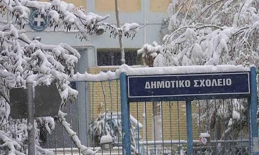 Κλειστά όλα τα σχολεία στο Δήμο Ελασσόνας - Με τηλεκπαίδευση τα μαθήματα 