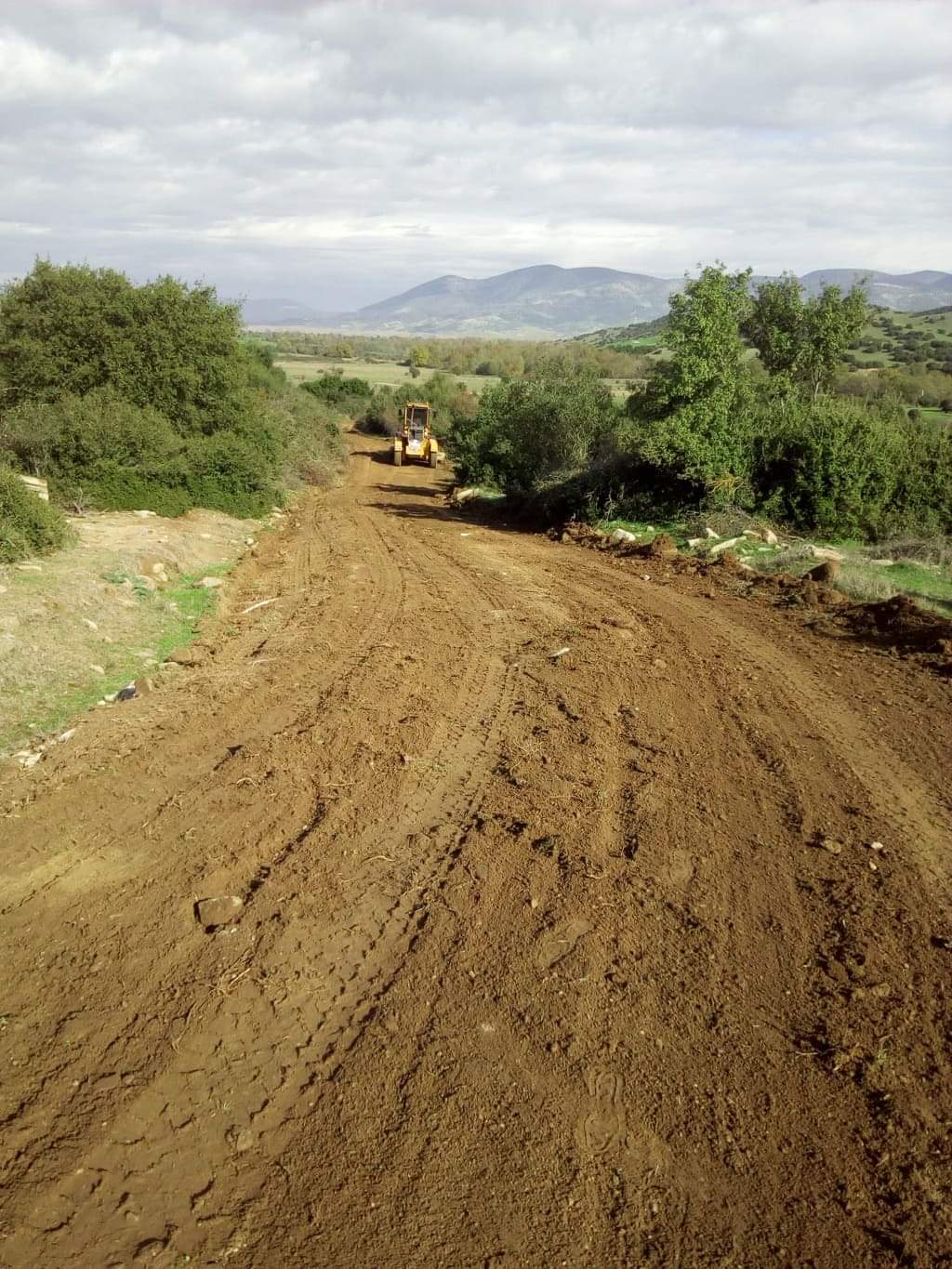 Αποκαταστάσεις αγροτικής οδοποιίας σε όλο το Δήμο Ελασσόνας 