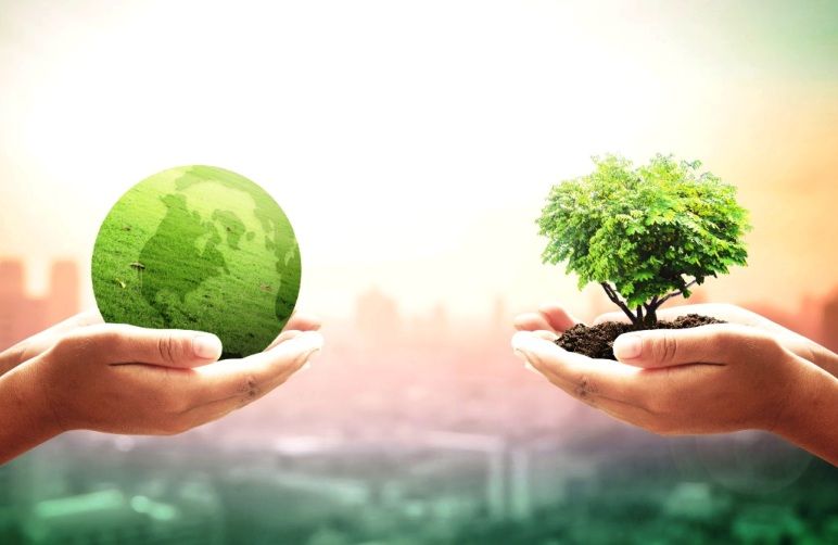 «Ημέρες Περιβάλλοντος» για 2η χρονιά στο Δήμο Ελασσόνας