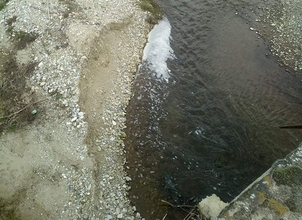 Νέα ρύπανση με τυρόγαλα και απόβλητα στον Τιταρήσιο ποταμό (Eικόνες)