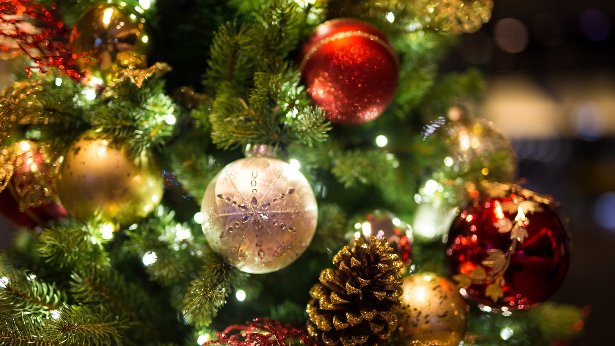 Ανάβει την Τρίτη το Χριστουγεννιάτικο Δέντρο στα Φάρσαλα   