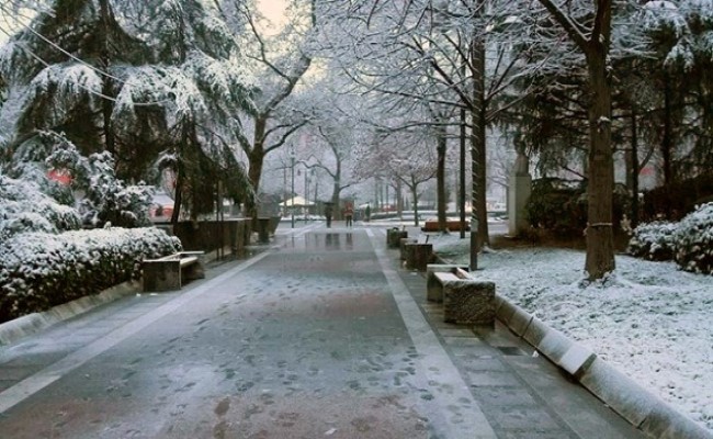 ΕΜΥ: Έρχεται η κακοκαιρία "Φίλιππος" με χιόνια και στα πεδινά της Θεσσαλίας 