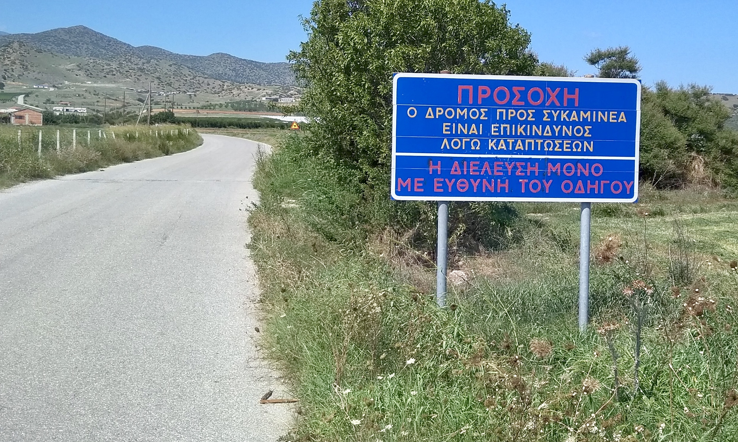 Xαρακόπουλος: Να αποκατασταθεί ο οδικός άξονας Ροδιάς-Συκαμινέας