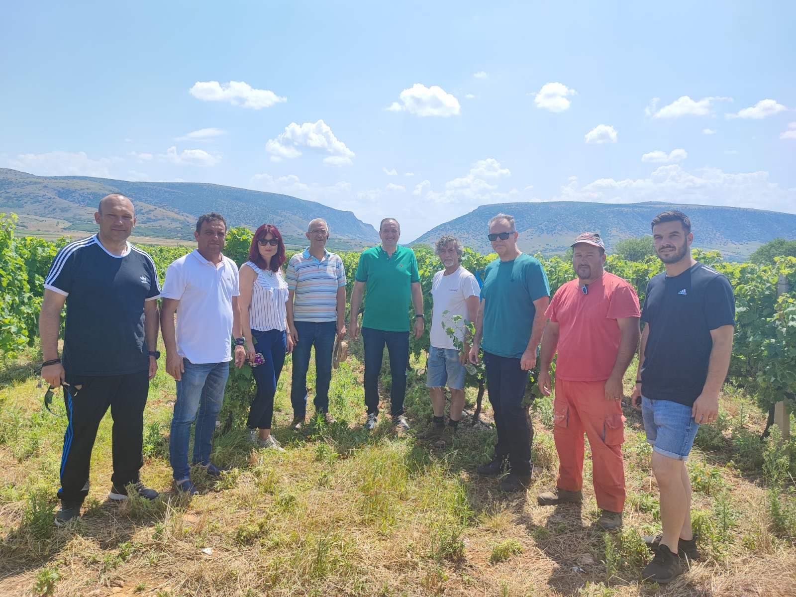 Κλιμάκιο του ΕΛΓΑ στο Δ.Τυρνάβου - Μεγάλες ζημιές σε αμπέλια και δέντρα  