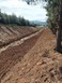 Καθαρίζει και διευθετεί το ρέμα Λακούλα στην Ελάτεια η Περιφέρεια Θεσσαλίας   