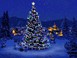 Φωταγώγηση Χριστουγεννιάτικου Δέντρου στην Πλατεία Αβέρωφ