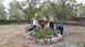 Ενεργοί Πολίτες Λάρισας: Oι «επίμονοι κηπουροί»του Αισθητικού Άλσους 