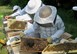 Παράπονα Μελισσοκόμων 